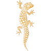 Gecko léopard