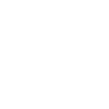 Bamberg Basketball Dept. 1955