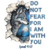 Citation chrétienne de Wolf