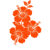 Orange Hibiscus Triple Flower Silhouette