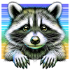 Raccoon