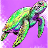 turtle