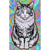 chat
