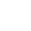 Field Spaniel "Black Edition"