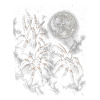 Lunar Night Tarantula Scene
