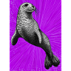 seal