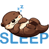 Sleeping Otter Sleep Cartoon Cute
