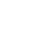 Nutty Squirrel Gitarrenband