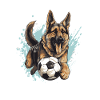 Schäferhund Hund Fussball Sport
