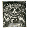 Cat flashed