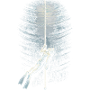 Apnée libre