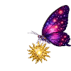 Golden Sun and space butterfly.