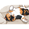 Calico cat in cheerful rest