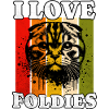 J’adore Scottish Fold