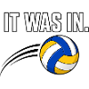 It was inside! Volleyball Design
