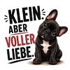 Frenchie Klein aber voller Liebe