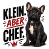 Frenchie – Klein aber Chef Bully