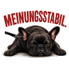 Frenchie – Meinungsstabil Bully