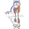 Wasserreflexion Waschbär – Farbenspiel