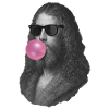 Albrecht Dürer Chewing Gum
