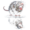 Wasserotter Brüller