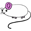 Mouse Rat Rodent Kids Baby