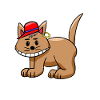 Cat funny funny cats teen