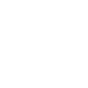 Swiss Shepherd "Black Edition"