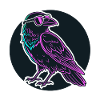 Raven Neon Glasses Neon