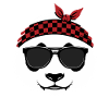 Cool Panda Bear Sunglasses