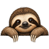 Slow Smile Sloth Motif