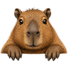 Stuffed Toy Capybara Cartoon