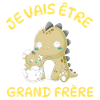 Enfant T-Shirt Dinosaure Grand Frère - Cadeau 