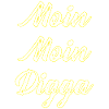 Moin Moin Digga Schriftzug