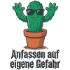 Cactus Sunglasses Warning !