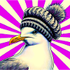 gull