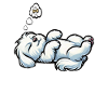 Feeling Dog Tired Maltese Maltese Owner