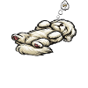 Feeling Dog Tired Maltese Maltese Owner