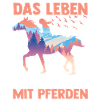Reiten Pferdeliebhaber Reiterhof Pferde