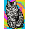 chat