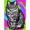 chat