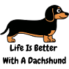 Dachshund Life
