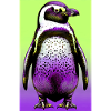 penguin