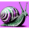 Snail