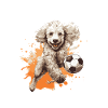 Poodle Dog Football Team