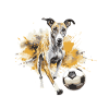 Greyhound Dog Football Team