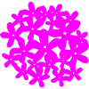 Biznaga