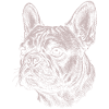 French Bulldog - Stock Illustration