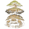 Bonsai Tree Turtle