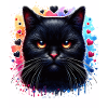 Chat noir